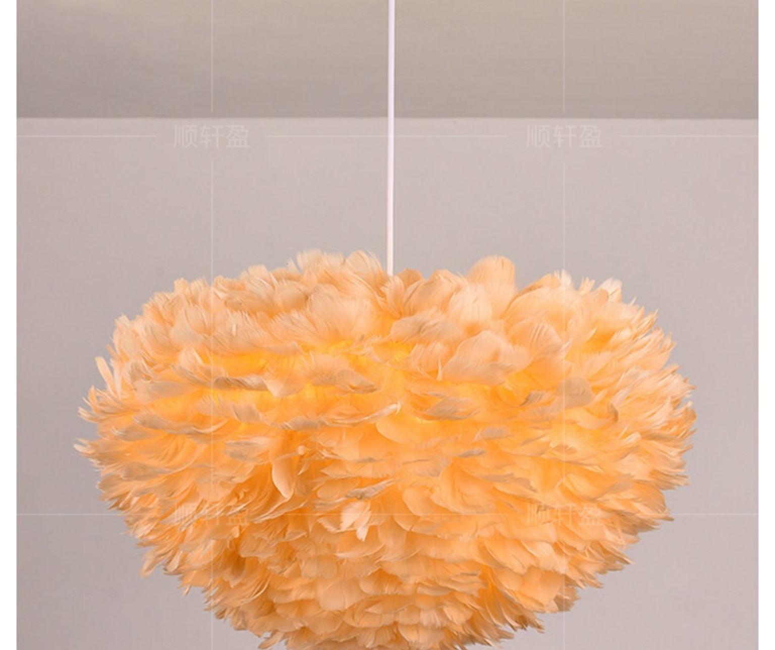 Feather Pendant Light 006