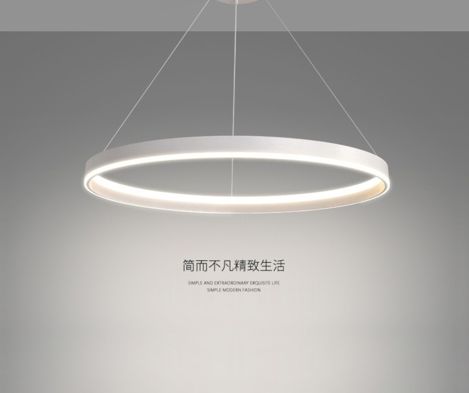 Modern Pendant Light 015