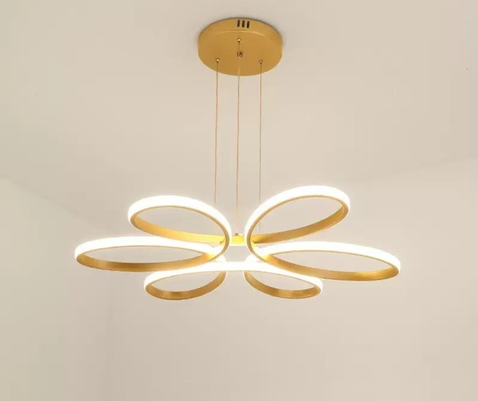 Petal Ring Pendant Light 123